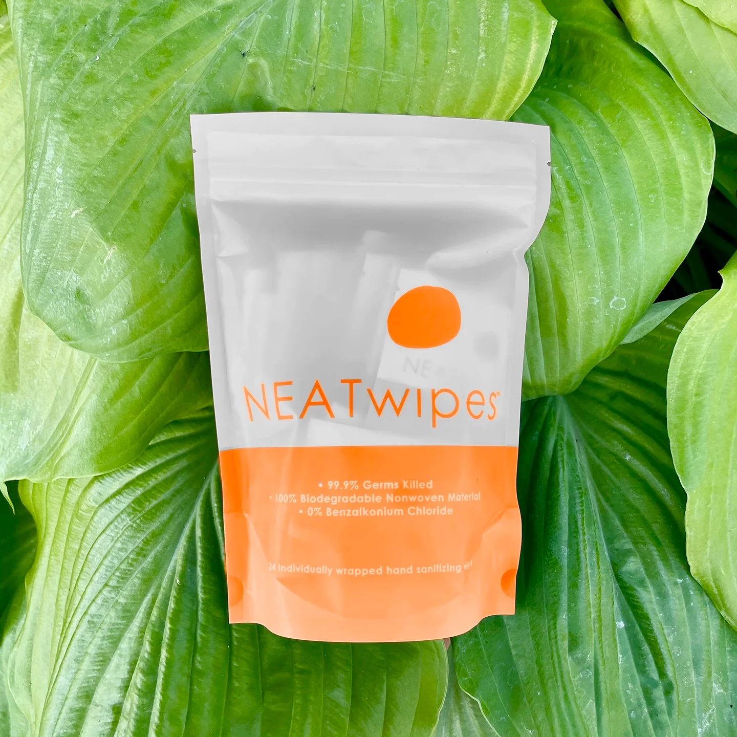 NEATwipes | 10-Count Multipack (240 Handwipes) | Fresh Citrus - Image 7